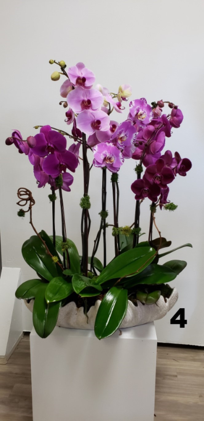 RP139