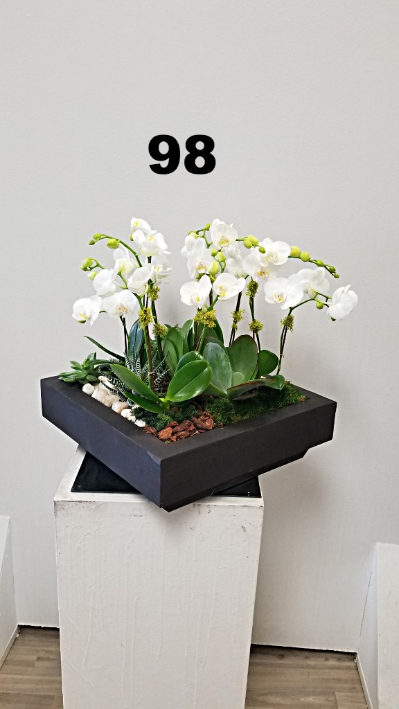RP28