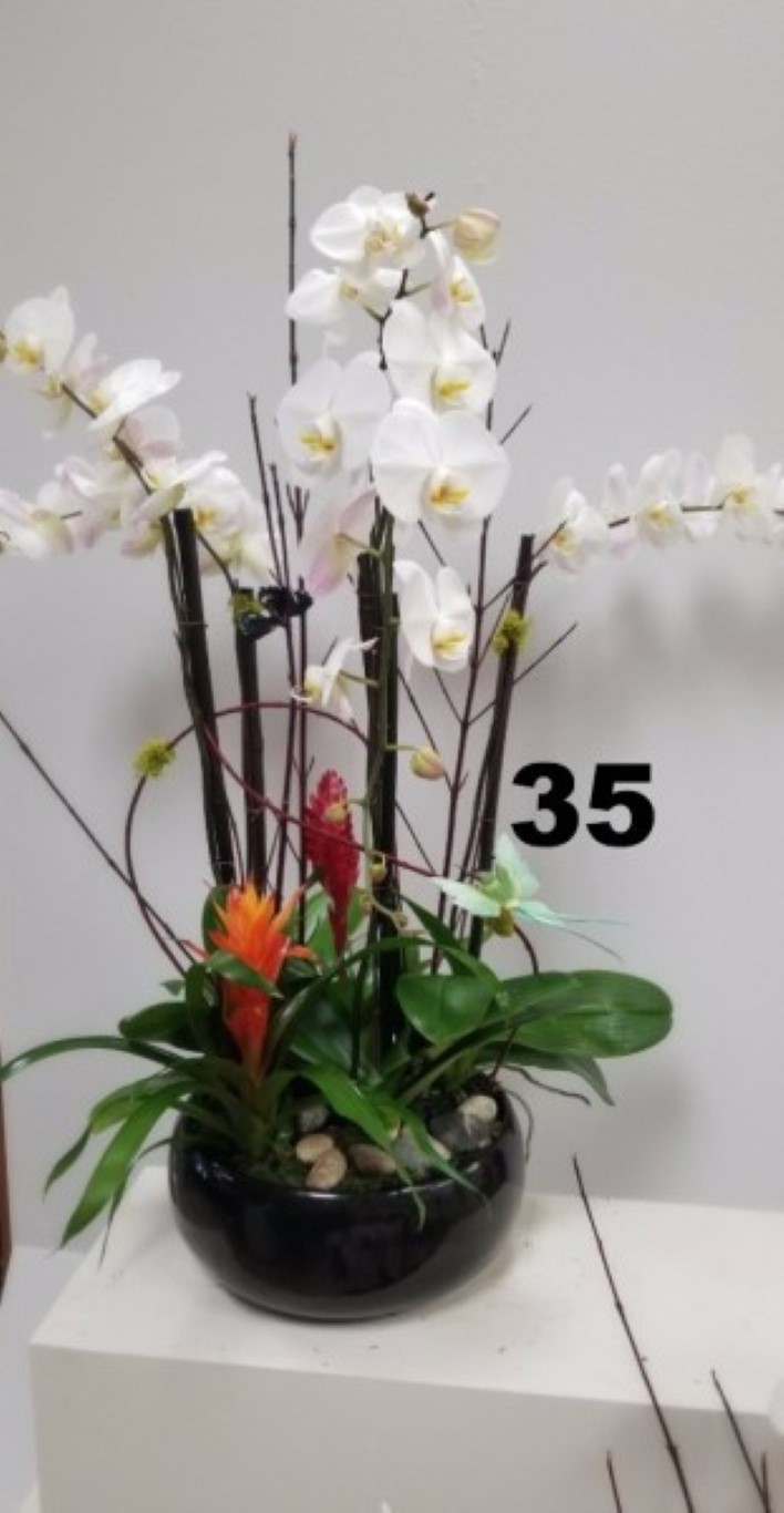 RP105