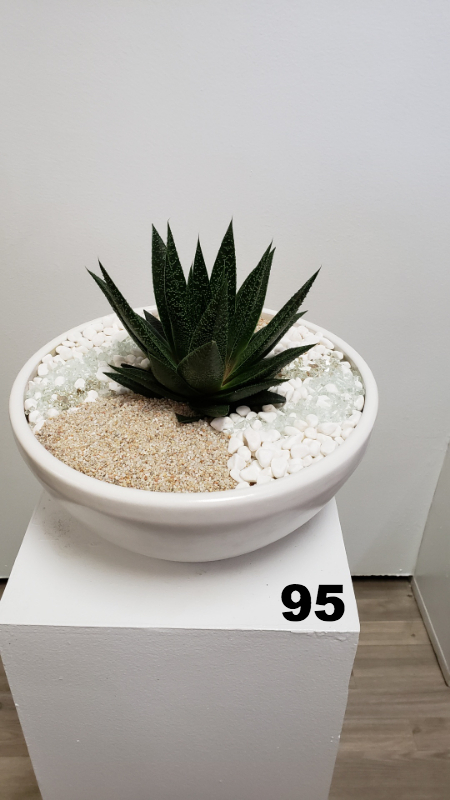 RP38