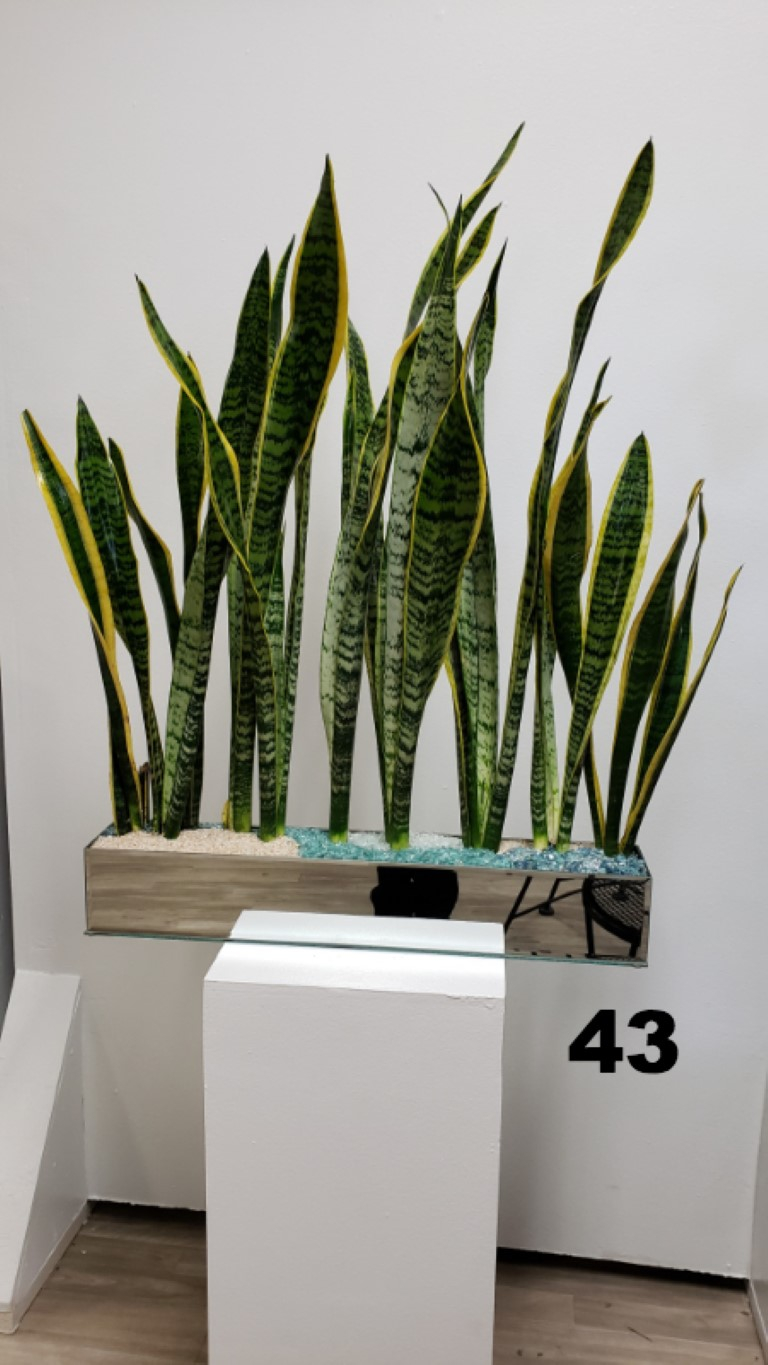 RP97