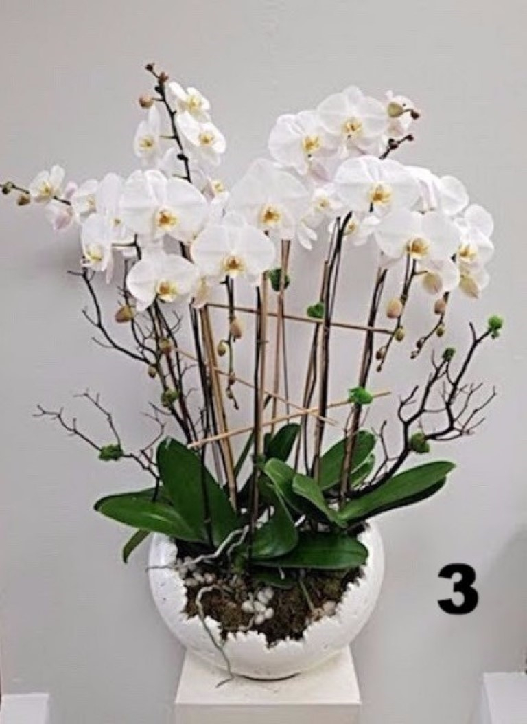 RP140
