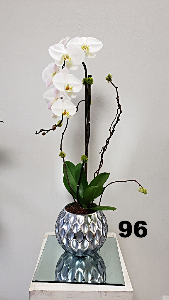 RP39