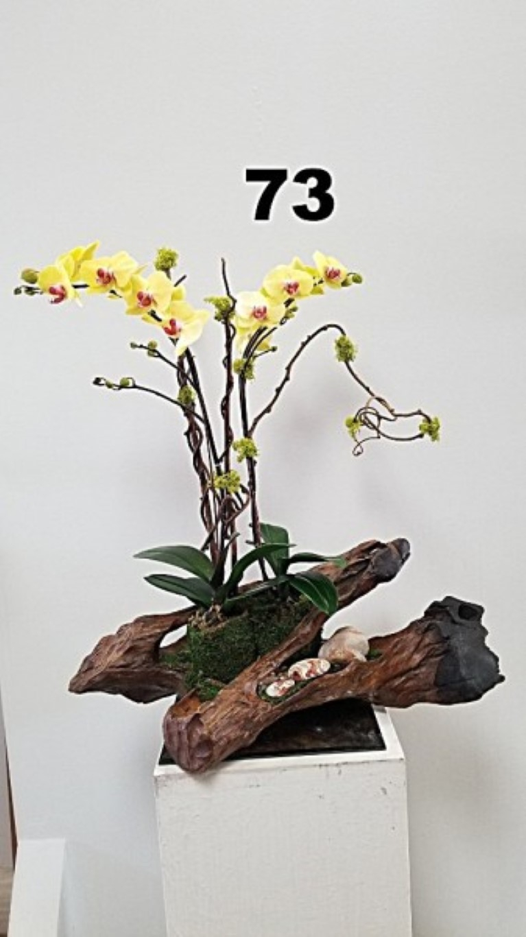 RP66
