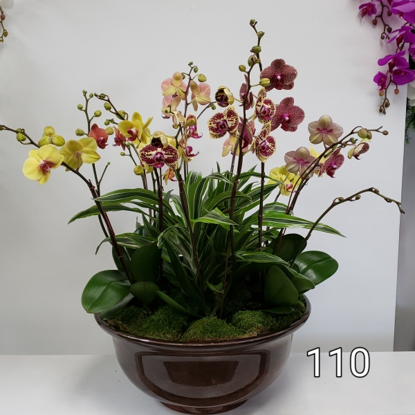 RP16