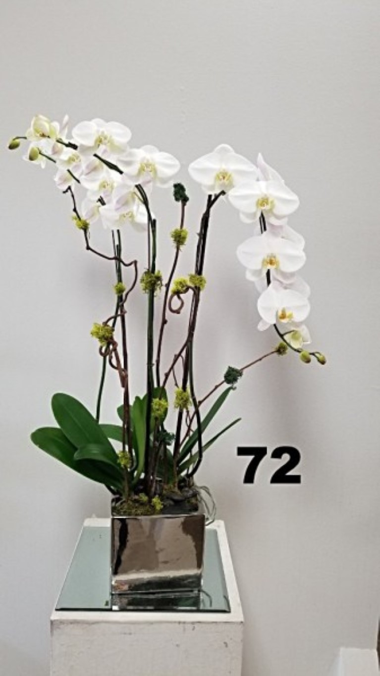 RP65