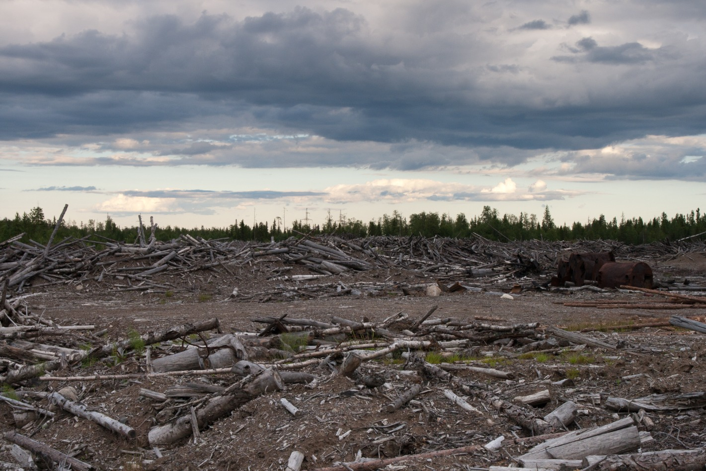 Cost Cutters Lawn & Landscape in Flint, MI